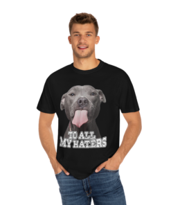 To All my Haters T-shirt PT40733